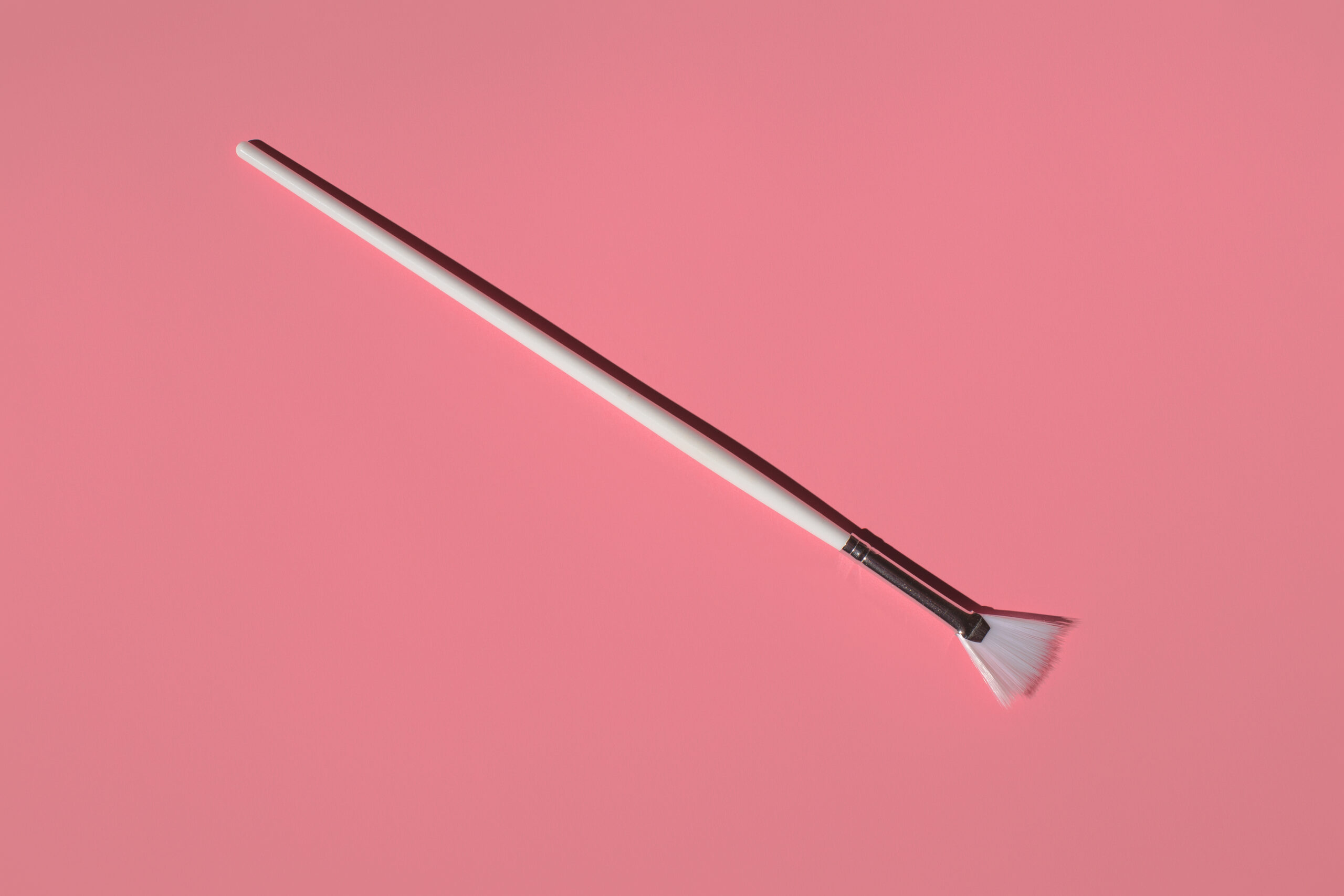 fan brush